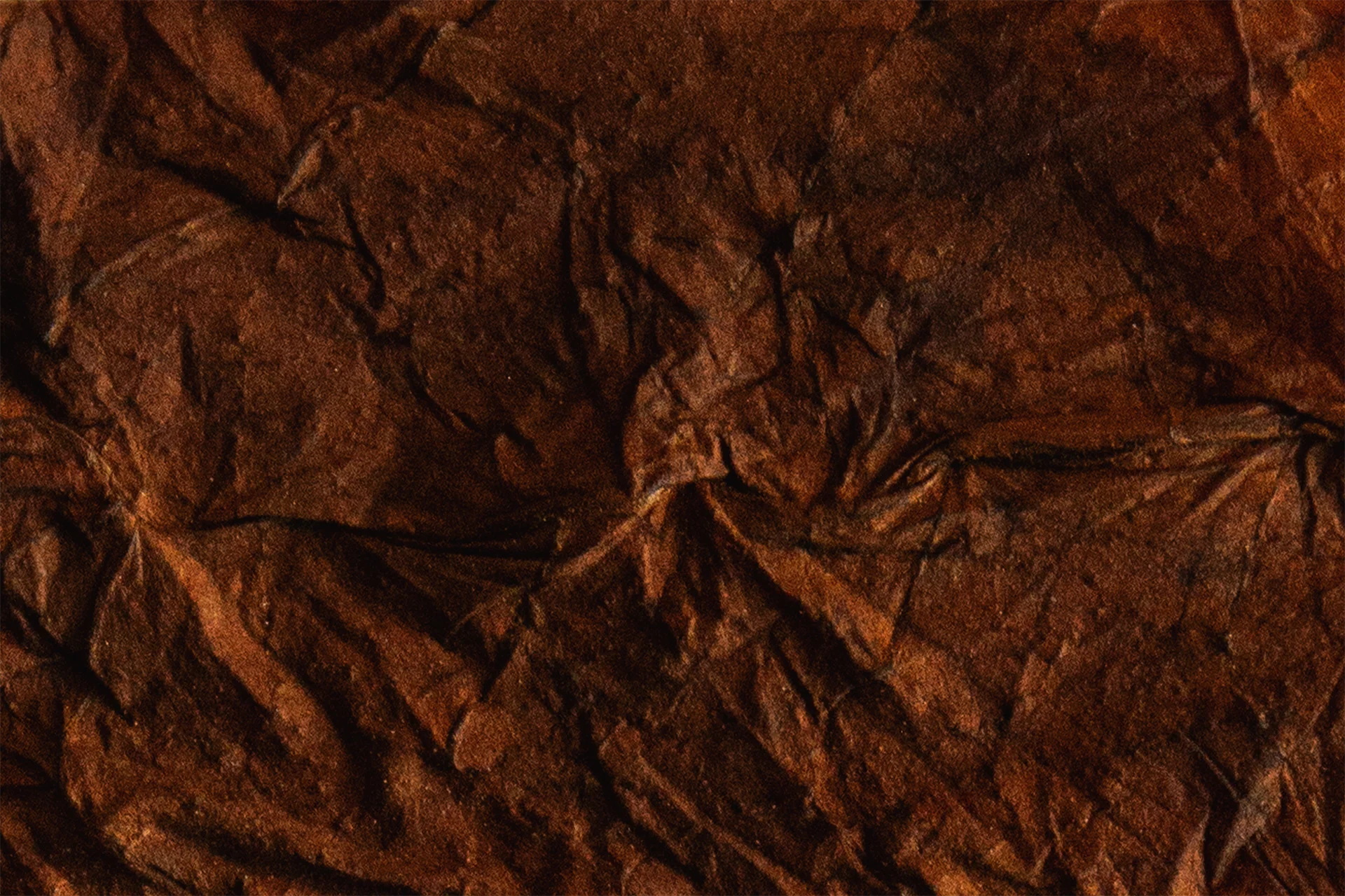 looseleaf